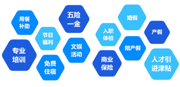提供全面、系统、专业的培训和广阔的<br>职业发展空间和提升机会